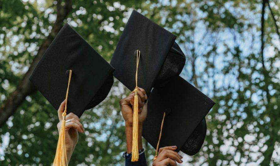 Купить вуз диплом быстро и надежно